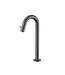 DutchLine Fonteinkraan Hoog Dutchline Round XL 30cm – Gunmetal