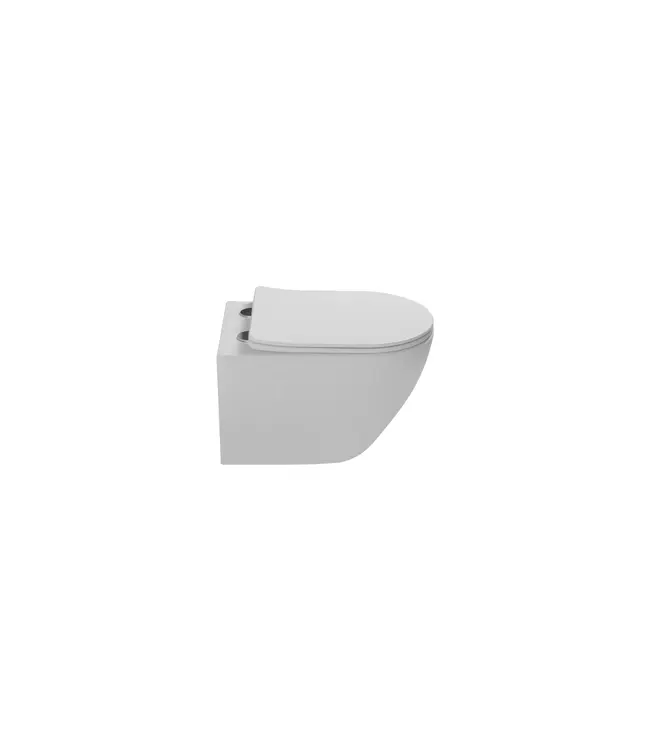 Hangtoilet Luccio Mat Wit - excl. wc-bril