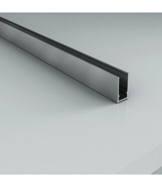 ALONI Muurprofiel voor Douchewand RVS 200cm - Geschikt voor 8mm