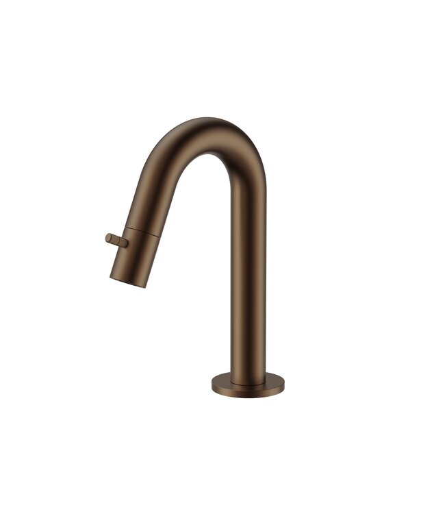 Fonteinkraan set Stria Lux Mat Bruin Brons (PVD) Toiletkraan + Sifon + Clickwaste