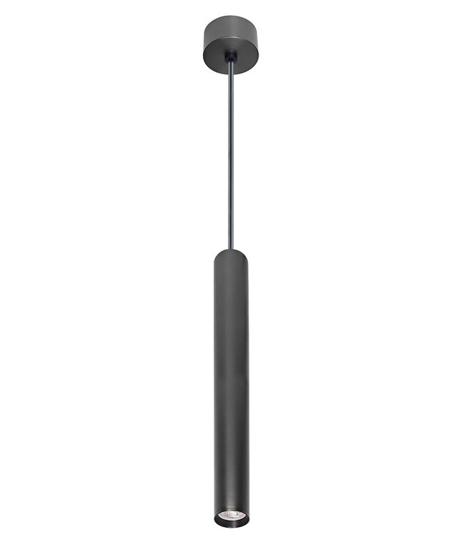 Badkamer Hanglamp Oriona Gunmetal - IP44 - Dimbaar | Wiesbaden