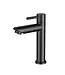 Fonteinkraan DutchLine S-Grip Mat Zwart PVD | Compacte Toiletkraan