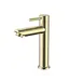 Fonteinkraan DutchLine S-Grip Geborsteld Messing / Goud PVD | Compacte Toiletkraan