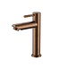 Fonteinkraan DutchLine S-Grip Geborsteld Brons Koper PVD | Compacte Toiletkraan