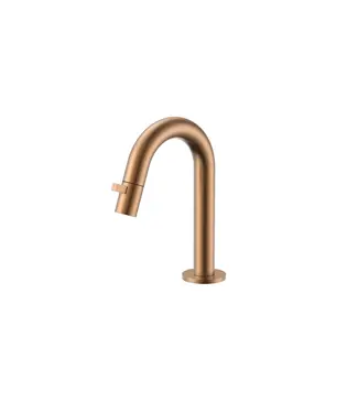 DutchLine Fonteinkraan DutchLine Round Geborsteld Brons Koper PVD | Compacte Toiletkraan