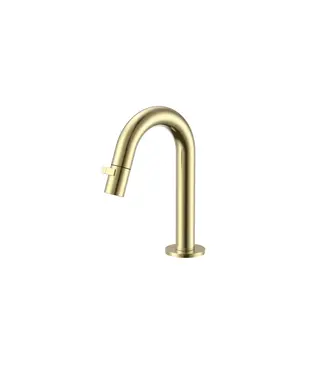 DutchLine Fonteinkraan DutchLine Round Geborsteld Messing / Goud PVD | Compacte Toiletkraan