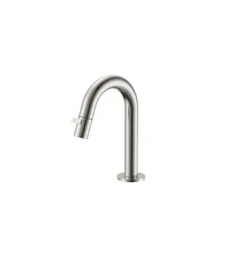 DutchLine Fonteinkraan DutchLine Round Geborsteld Staal / RVS | Compacte Toiletkraan