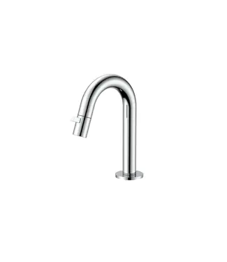 DutchLine Fonteinkraan DutchLine Round Chroom | Compacte Toiletkraan