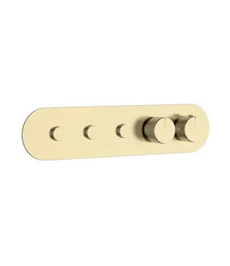 DutchLine Afbouwdeel Push Geborsteld Messing / Goud (PVD) tbv 3-weg Inbouw Thermostaat Douche