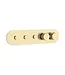 DutchLine Afbouwdeel Push Geborsteld Messing / Goud (PVD) tbv 3-weg Inbouw Thermostaat Douche