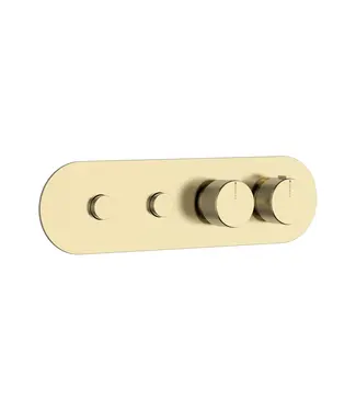 DutchLine Afbouwdeel Push Geborsteld Messing (Goud) (PVD) tbv 2-weg Inbouw Thermostaat Douche
