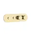 DutchLine Afbouwdeel Push Geborsteld Messing (Goud) (PVD) tbv 2-weg Inbouw Thermostaat Douche