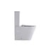 Staand toilet Duoblok Compleet - Back-to-Wall - Glanzend Wit - Randloos - OA&PK