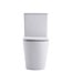 Staand toilet Duoblok Compleet - Back-to-Wall - Glanzend Wit - Randloos - OA&PK
