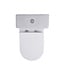 Staand toilet Duoblok Compleet - Back-to-Wall - Glanzend Wit - Randloos - OA&PK