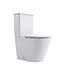 Staand toilet Duoblok Compleet - Back-to-Wall - Glanzend Wit - Randloos - OA&PK