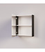 Spiegelkast Badkamer Trendline 60cm Black Oak | Luxe Badkamerkast
