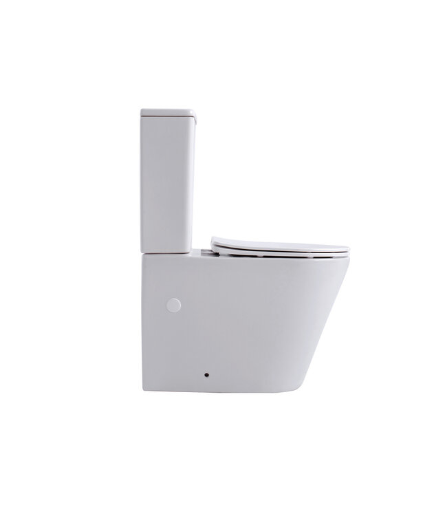 Staand toilet Duoblok Compleet - Back-to-Wall - Glanzend Wit - Randloos - OA&PK