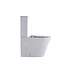 Staand toilet Duoblok Compleet - Back-to-Wall - Glanzend Wit - Randloos - OA&PK