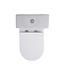 Staand toilet Duoblok Compleet - Back-to-Wall - Glanzend Wit - Randloos - OA&PK