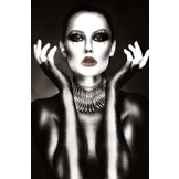 Plexiglas Schilderij