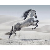 Plexiglas Schilderij