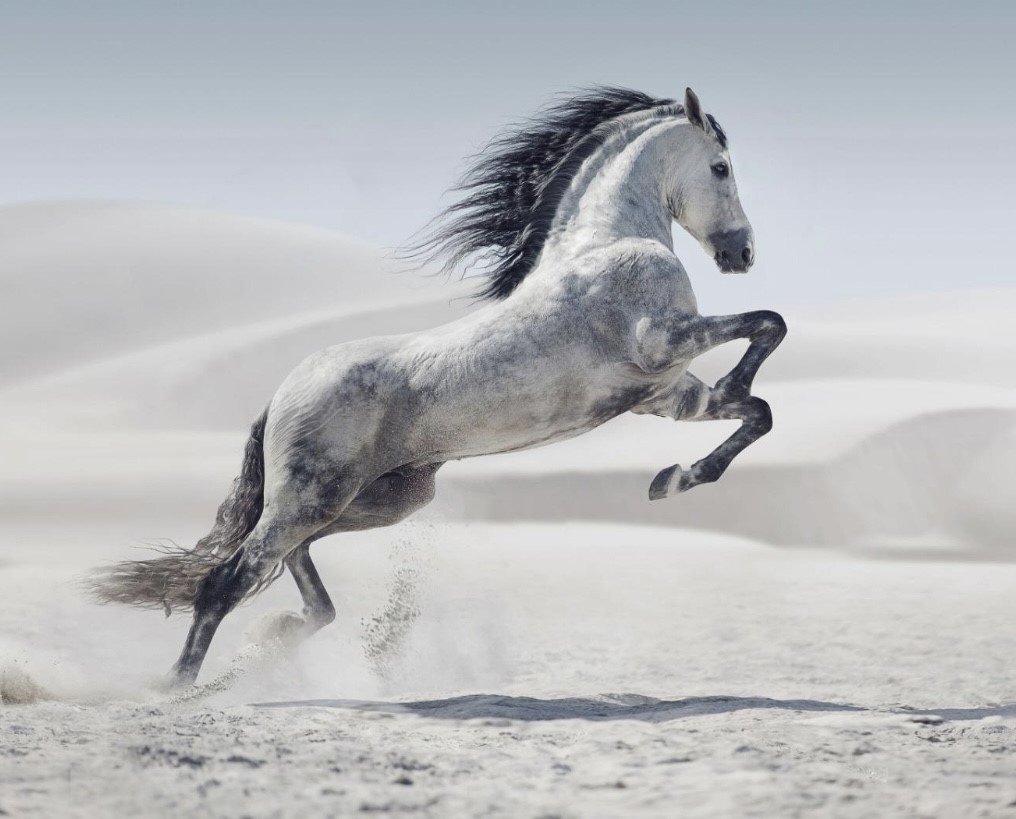 Plexiglas Schilderij