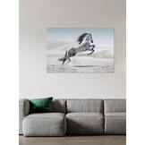 Plexiglas Schilderij