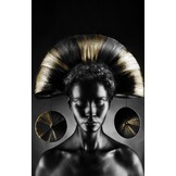 Plexiglas Schilderij