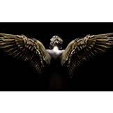 Plexiglas Schilderij