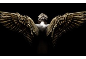 Plexiglas Schilderij Angel Engel xl