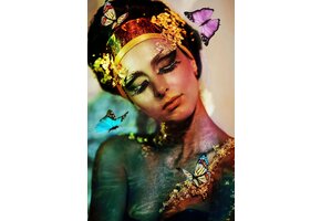 Plexiglas Schilderij Dame vlinder