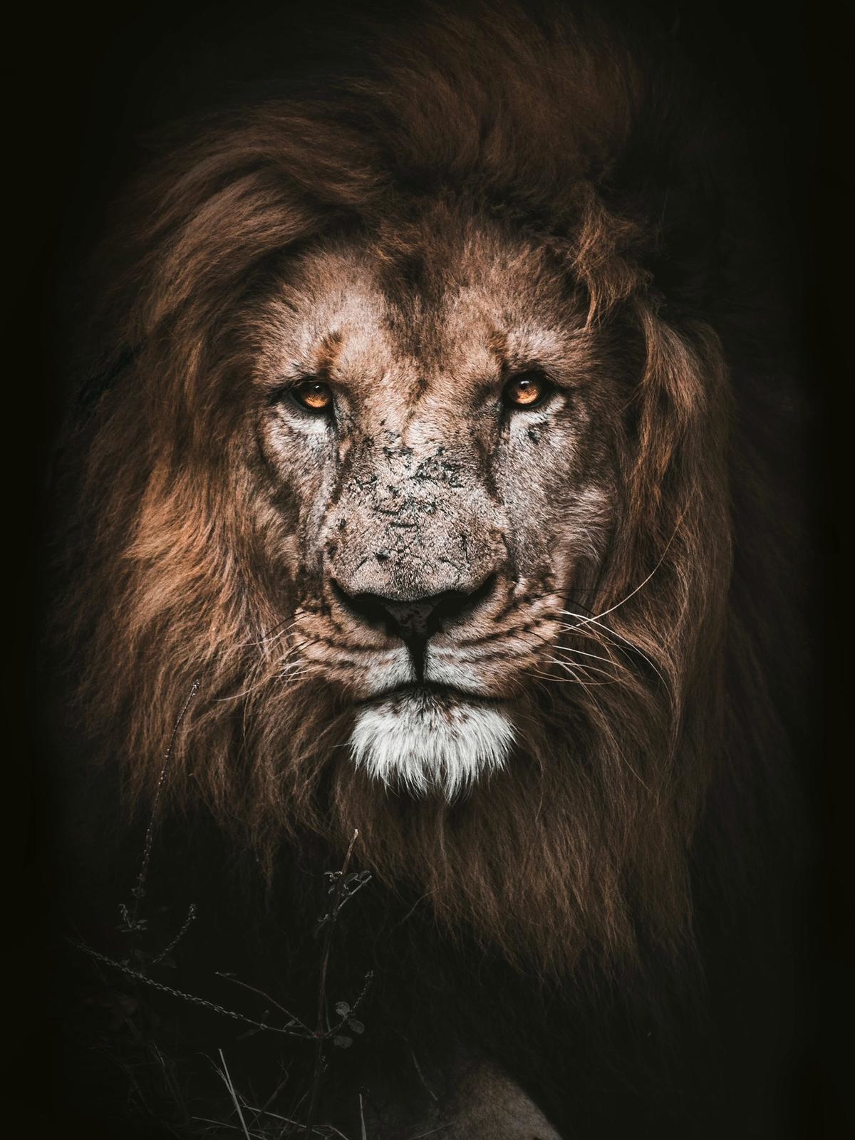 Plexiglas Schilderij