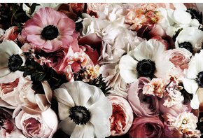 Plexiglas Schilderij Bloemen