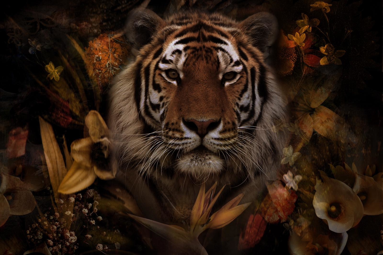 Plexiglas Schilderij Panter met bloemen