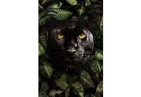 Plexiglas Schilderij