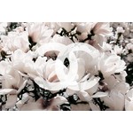 Plexiglas Schilderij Chanel logo bloemen