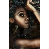 Plexiglas Schilderij