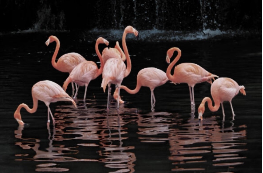 Plexiglas Schilderij