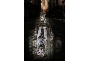 Plexiglas Schilderij bengaalse kat relfex