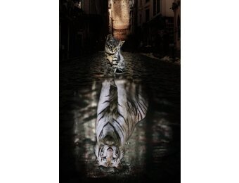 Plexiglas Schilderij bengaalse kat relfex
