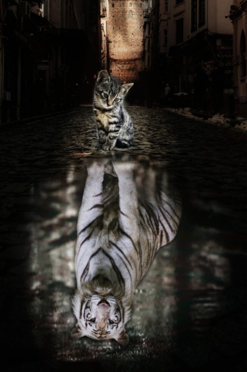 Plexiglas Schilderij