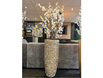 Schelpvaas Blossom