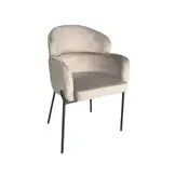 Grijs Velvet Eetkamerstoel