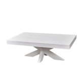 OAK WOOD VISGRAAT WIT MEUBELSET