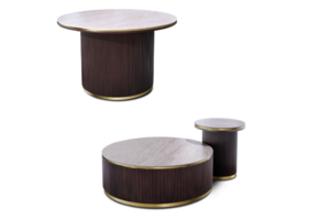 Meubel set salontafel en eettafel wood oak