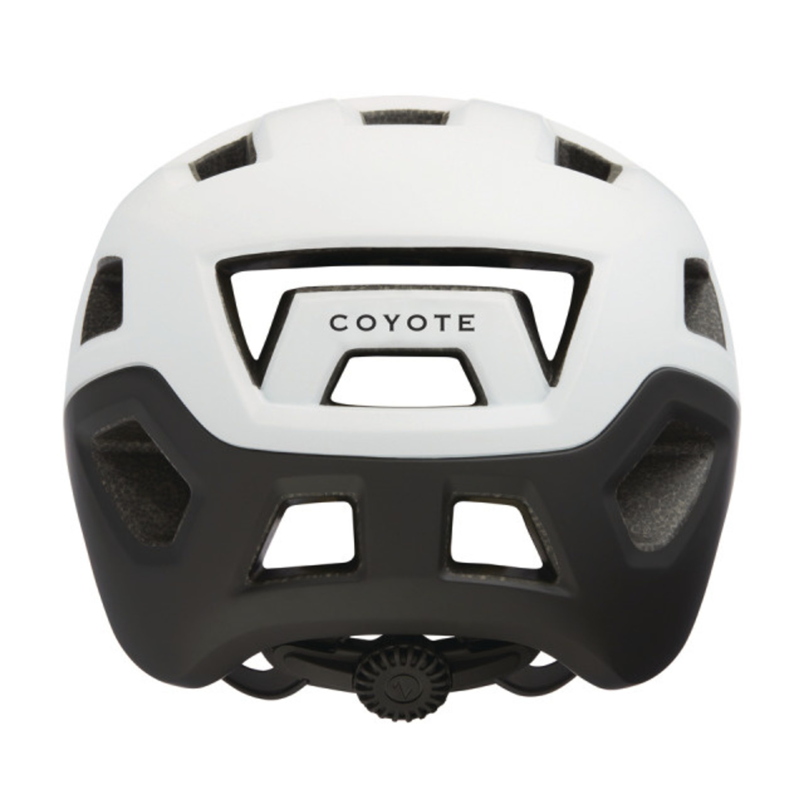 LAZER MTB Coyote MIPS Helm