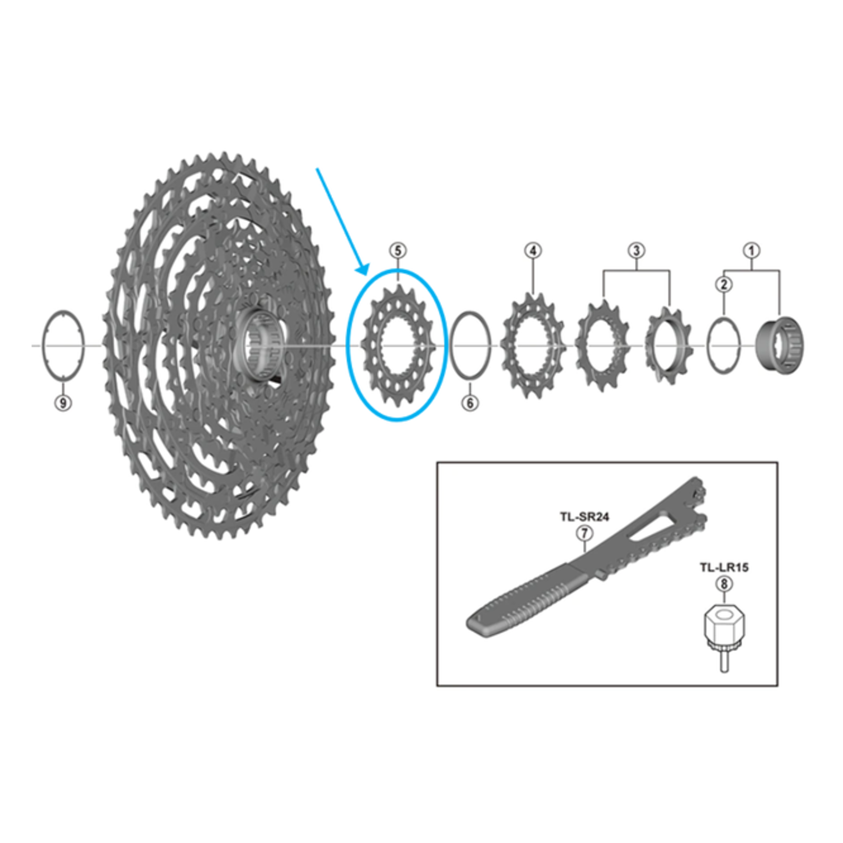 Shimano Shimano Zahnkranz CS-M9100-12 16 Zähne