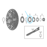 Shimano Shimano Zahnkranz CS-M9100-12 14 Zähne