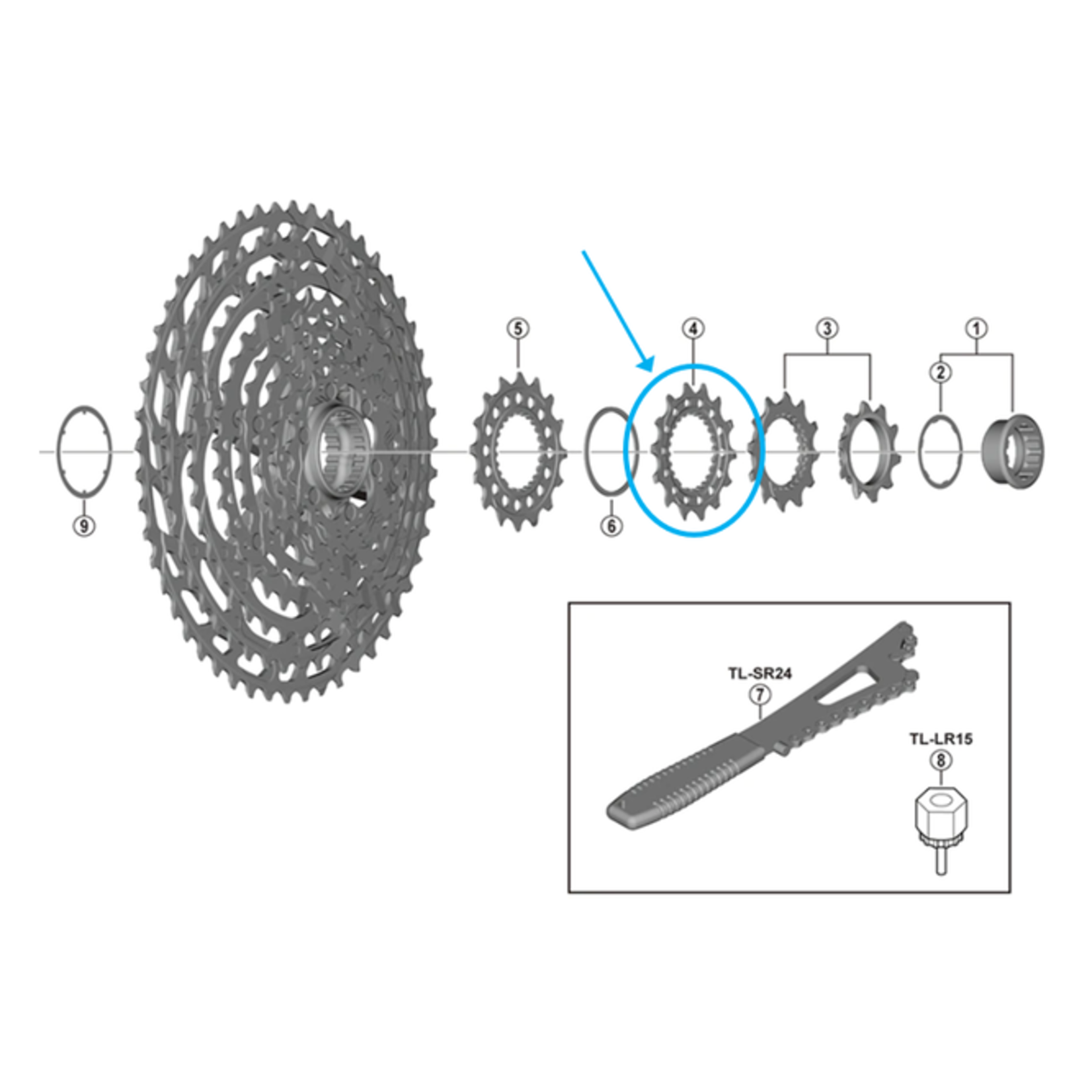 Shimano Shimano Zahnkranz CS-M9100-12 14 Zähne